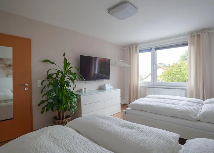 Exclusive 2-room-city-apartment - Contactless Check-in 아파트