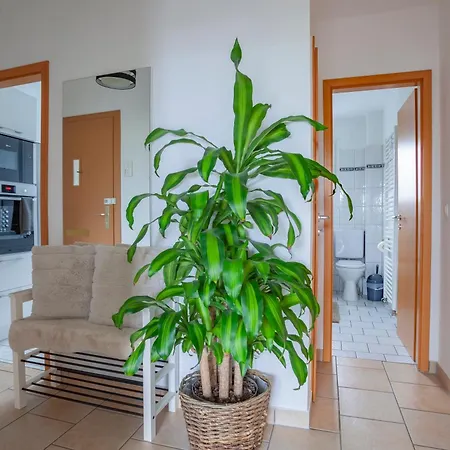 Exclusive 2-room-city-apartment - Contactless Check-in