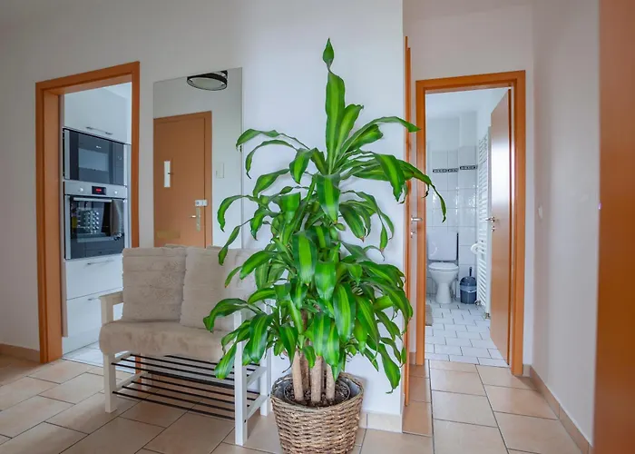 Exclusive 2-room-city-apartment - Contactless Check-in